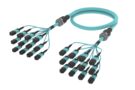 UKXMPMPCM [ARM TRUNK 144F MPO12F _ MPO12F MM OM4]