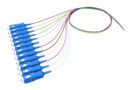 ACGSFUCNC [ACGSFUCNC_jpg]