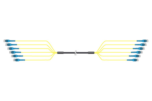 DFT-12SM-011