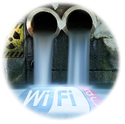 Fuddy-waters