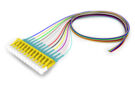 FAXL2UC0C [FAXL2UC0C]