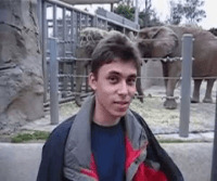 YouTube's first video 'Me at the zoo'
