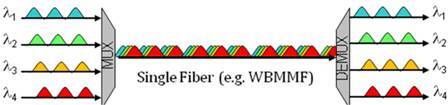 Single_Fiber_WBMMF