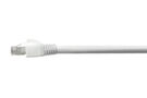 CA184T2 [TP-cord-collection-11b]