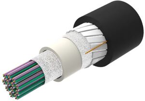 810009430/DB | D-288-CN-RR-F12NS/8W/99G 