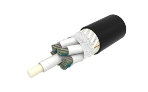 760250981 | Z-1728-LN-RR-F12BK/8G1/99L/200/C 
