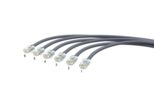 CAGXB | IP6A-06PUTP-PG1S-BLUNT [06-Plug-LS]