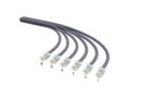 CAGXB | IP6A-06PUTP-PG1S-BLUNT [06-Plug-RS]