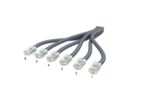 CAGXB | IP6A-06PUTP-PG1S-BLUNT [06-Plug-TS]