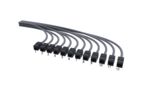 CAAAD | IP6A-12PUTP-O1S-O1S [12-Outlet-RS]