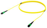 AQGRPRG7R [12f_SM_Trunk_yellow_jpg]