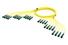 AGGMPMPAM [144f_MM_Trunk_yellow_jpg]