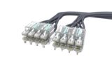 CCATE | IP6A-16LUTP-O1S-1LK08 [16-Onelink-LS]