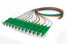 760246010 | OCP-EC-02MASEN-XX-(12COL) [Pigtail_E2000-Stub_SM_1F_12COL]