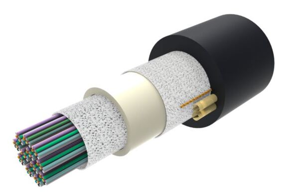 810010362/DB | D-432-CN-RR-F12NS/8W/99A/200 | CommScope