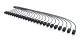 CEBAB | IP6A-06RFTP-O2S-O1S [24-Outlet-RS]