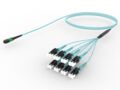 URXRZLU7R [ARRAY 16F MPO APC - LU OM4]