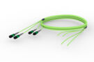 U3VQVUCTS [TRUNK MPO08 32F MPO-STUB APC OM5]