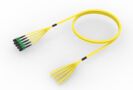 U3GRXUC8Q [TRUNK MPO16 128F MPO-STUB SM]