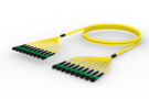 UJGRXRX8M [TRUNK MPO16 144F MPO-MPO SM]