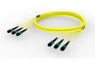 U3GRXRX8H [TRUNK MPO16 48F MPO-MPO SM]