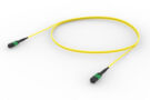URGMPMPUD [ARRAY 12F MPO - MPO SM]