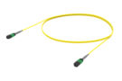URGQXQXF8 [ARRAY 8F MPO - MPO SM]