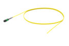UQGQXUCF8 [ARRAY 8F MPO - STUB SM]