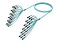 UGXQXQXTM [TRUNK MPO08 144F MPO - MPO MM OM4]