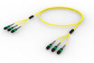 U3GQXQXTF [TRUNK MPO08 24F MPO - MPO SM]