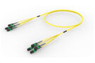 U3GQPQXTS [TRUNK MPO08 32F MPO - MPO SM]