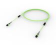 U3VQXQXT8 [TRUNK MPO08 8F MPO - MPO MM OM5]