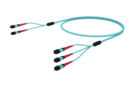 UQX2P2EBH [ARRAY 2X3 48F MPO 24F  - MPO 24F MM OM4]