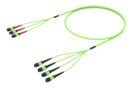 UQV2EMPAH [ARRAY 3X4 48F MPO 24F  - MPO 12F MM OM5]