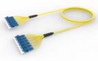 U4GLFLFCD [DBL RUGGED 12F LC UPC-LC UPC SM]