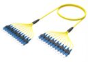 1665922 | FPM-07/7-AF010M-39/25 [DBL RUGGED 12F SC UPC-SC UPC SM]