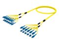 UNGLULUCF [DBL RUGGED 24F LU-LU SM]