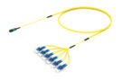UNGMPLFCD [RUGGED 12F MPO-LC UPC SM]