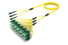 UNGMPSACG [RUGGED 36F MPO-SC APC SM]