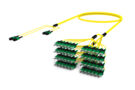 UNGMXSACH [RUGGED 48F MPO-SC APC SM]