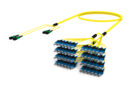 ULGMXSCCH [RUGGED 48F MPO-SC UPC SM]
