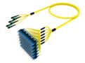 UNGMXSCCK [RUGGED 72F MPO-SC UPC SM]