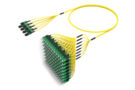 U4GMXSACL [RUGGED 96F MPO-SC APC SM]