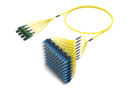 UNGMXSCCL [RUGGED 96F MPO-SC UPC SM]