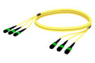 AGGMXMXCG [36f_MM_Trunk_green_yellow_jpg]