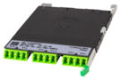 760254220 [Green color collar installed_760254220]