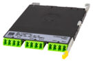 760254224 [Yellow color collar installed_760254224]