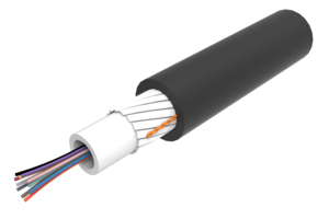 810010225/DB | C-024-CN-8W-M24BK/40G/GY/D