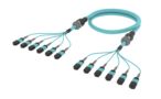 UHXQXQXTH [ARM TRUNK 48F MPO8F - MPO8F MM OM4]