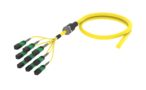 UHGQXUCTK [ARM TRUNK 72F MPO8F - UC SM]